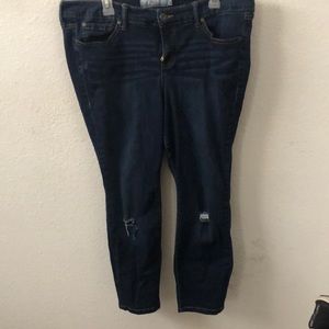 Slight Destructive Style Denim- Torrid- Size: 16XS